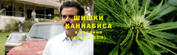 гидра Аркадак