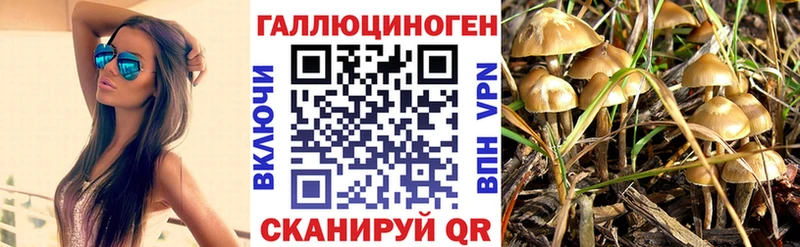 Псилоцибиновые грибы мицелий  где найти наркотики  Бобров 